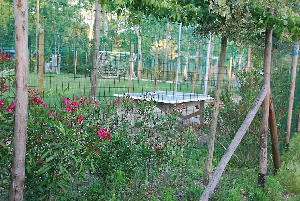 Campsite Mobile Homes - Torre Del Lago Torre del Lago Puccini Italy